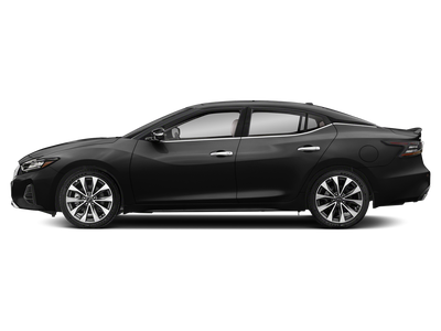 2023 Nissan Maxima Platinum