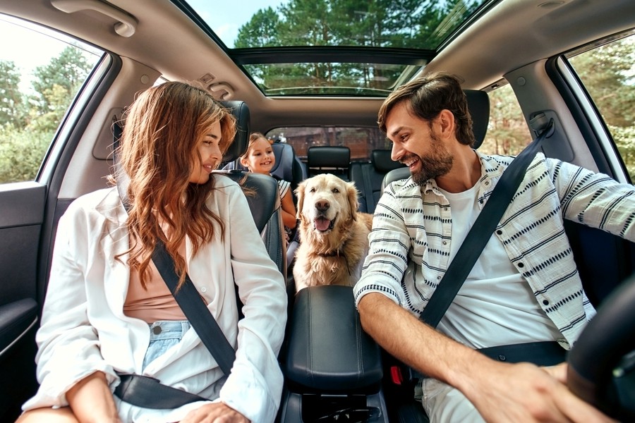 Family and Family dog in a car traveling