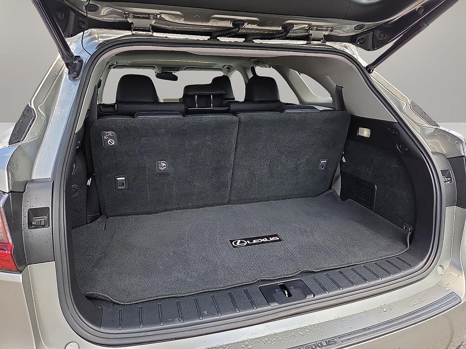 2019 Lexus RX 350L 