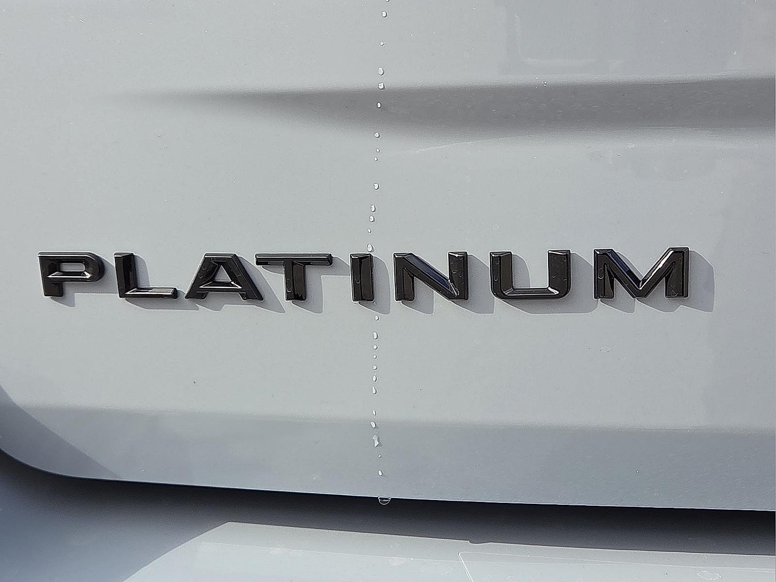 2026 Ford Expedition Platinum
