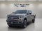 2022 Ford F-250SD Platinum